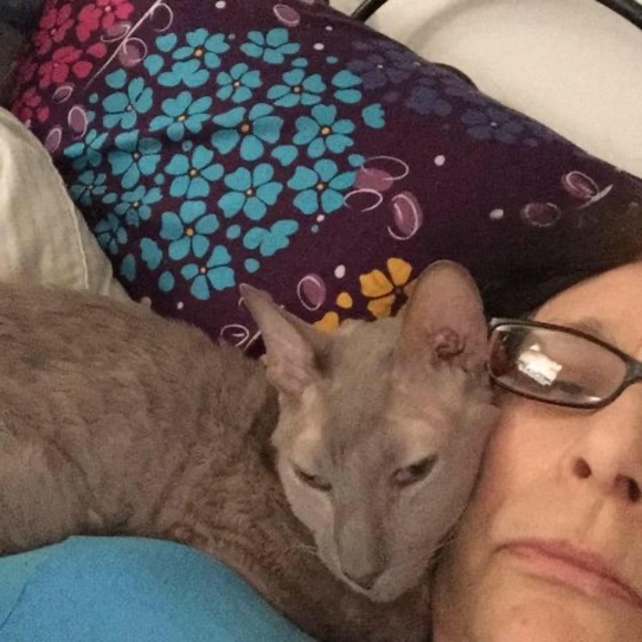 Meet your Posher, Frankie - Picture 1 of 1